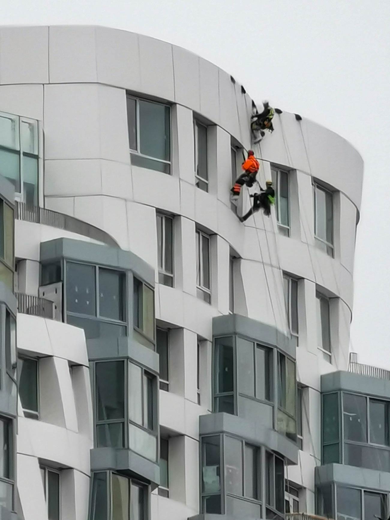 January - Rope access workers on Frank Gehry's Prospect Place