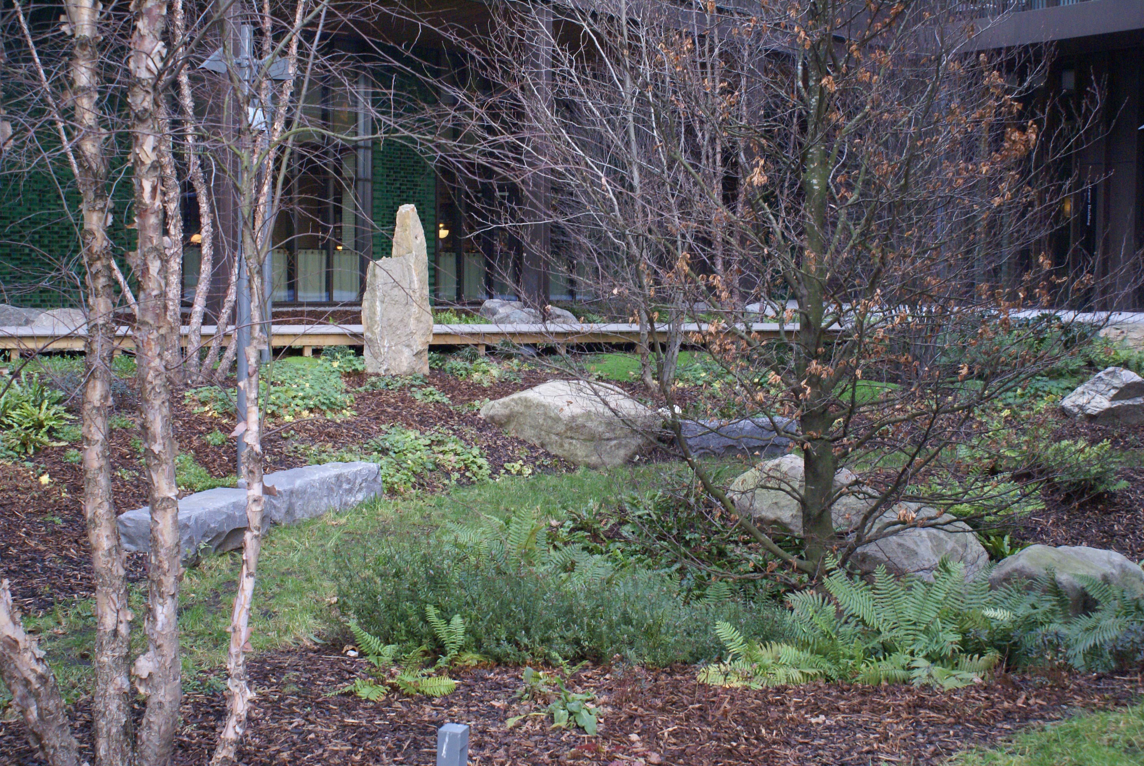 Some beautiful landscaping, part of 'The Ravine', behind Darby's