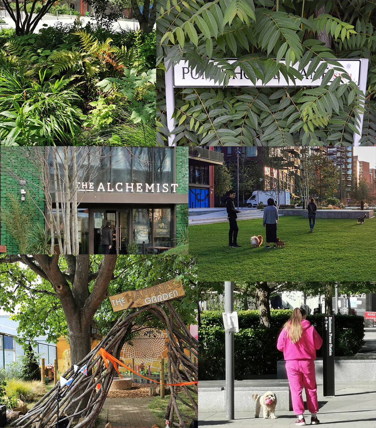 Friends of Nine Elms Parks Community Project - Nine Elms Community
